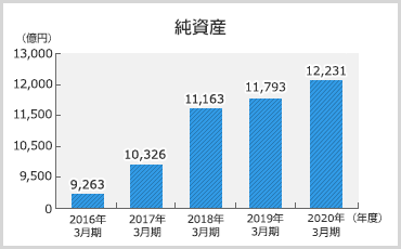 純資産のグラフ