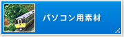 �p�\�R���p�f��