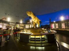 후쿠이현립 공룡박물관