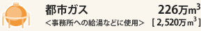 ssKXւ̋ȂǂɎgp226@[gm2,520@[gn