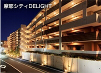 VeBDELIGHT
