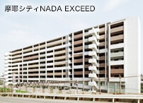 VeBNADA EXCEED