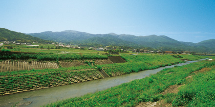 蕪村の旅 夏河を 越すうれしさよ 手に草履 Jr西日本