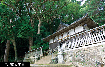熊野三所神社