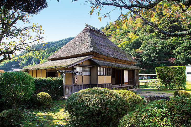 城下町彷徨 石見 津和野 Jr西日本