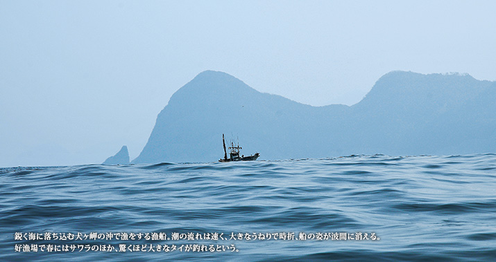 鋭く海に落ち込む犬ヶ岬の沖で漁をする漁船。潮の流れは速く、大きなうねりで時折、船の姿が波間に消える。好漁場で春にはサワラのほか、驚くほど大きなタイが釣れるという。