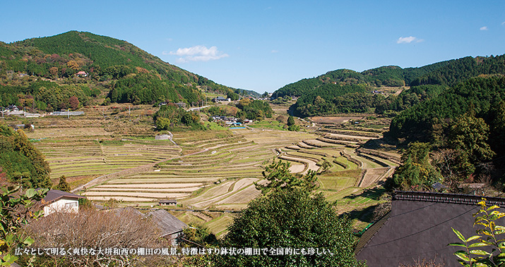 広々として明るく爽快な大垪和西の棚田の風景。特徴はすり鉢状の棚田で全国的にも珍しい。