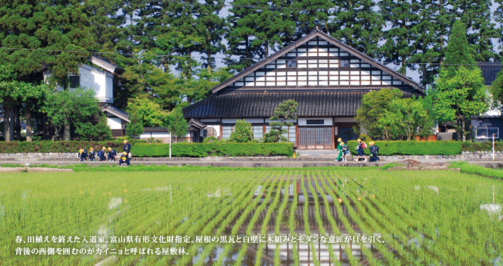 春、田植えを終えた入道家。富山県有形文化財指定。屋根の黒瓦と白壁に木組みとモダンな意匠が目を引く。背後の西側を囲むのがカイニョと呼ばれる屋敷林。
