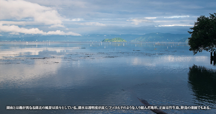 湖南とは趣が異なる湖北の風景は淡々としている。湖水は透明度が高く、フィヨルドのような入り組んだ地形。正面は竹生島。野鳥の楽園でもある。