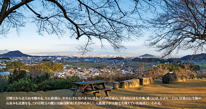 甘樫丘から北方向を眺める。左に畝傍山、中央右手に島のように浮かぶのが耳成山、天香具山は右手奥。遠くには、左より二上山、信貴山に生駒の山並みも見渡せる。この甘樫丘の麓には蘇我蝦夷(そがのえみし)、入鹿親子が大邸宅を構えていた場所といわれる。