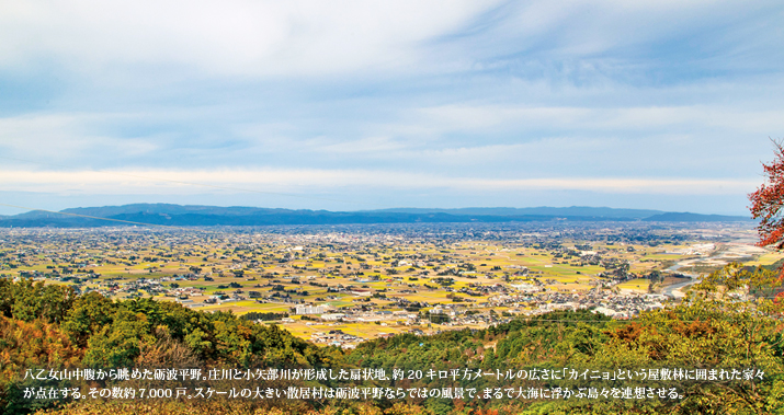 八乙女山中腹から眺めた砺波平野。庄川と小矢部川が形成した扇状地、約20キロ平方メートルの広さに「カイニョ」という屋敷林に囲まれた家々が点在する。その数約7,000戸。スケールの大きい散居村は砺波平野ならではの風景で、まるで大海に浮かぶ島々を連想させる。