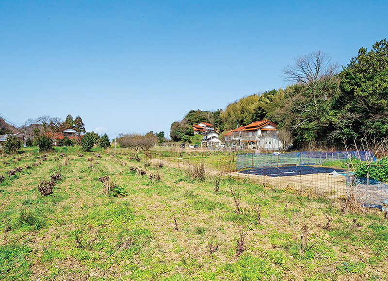 原画】沖縄風景水彩画 ｢路地から見える赤瓦民家｣ - 沖縄風景画_