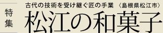 W Ñ̋Zp󂯌p̎  q]sr ]̘aَq