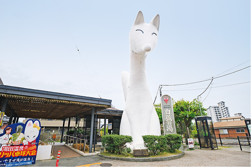 lw_meitou_img01.jpg