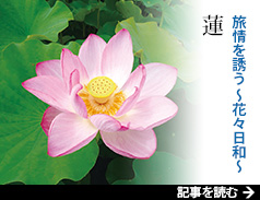 U `ԁXa` @
