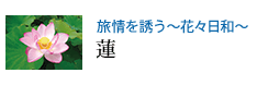 U `ԁXa` @