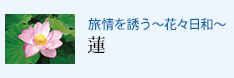 U `ԁXa` @