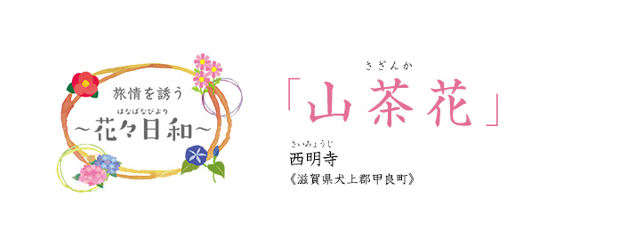 �����U�� �`�ԁX���a�` �R���� �������s���ꌧ����S�b�ǒ��t