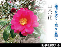 �����U�� �`�ԁX���a�` �R����