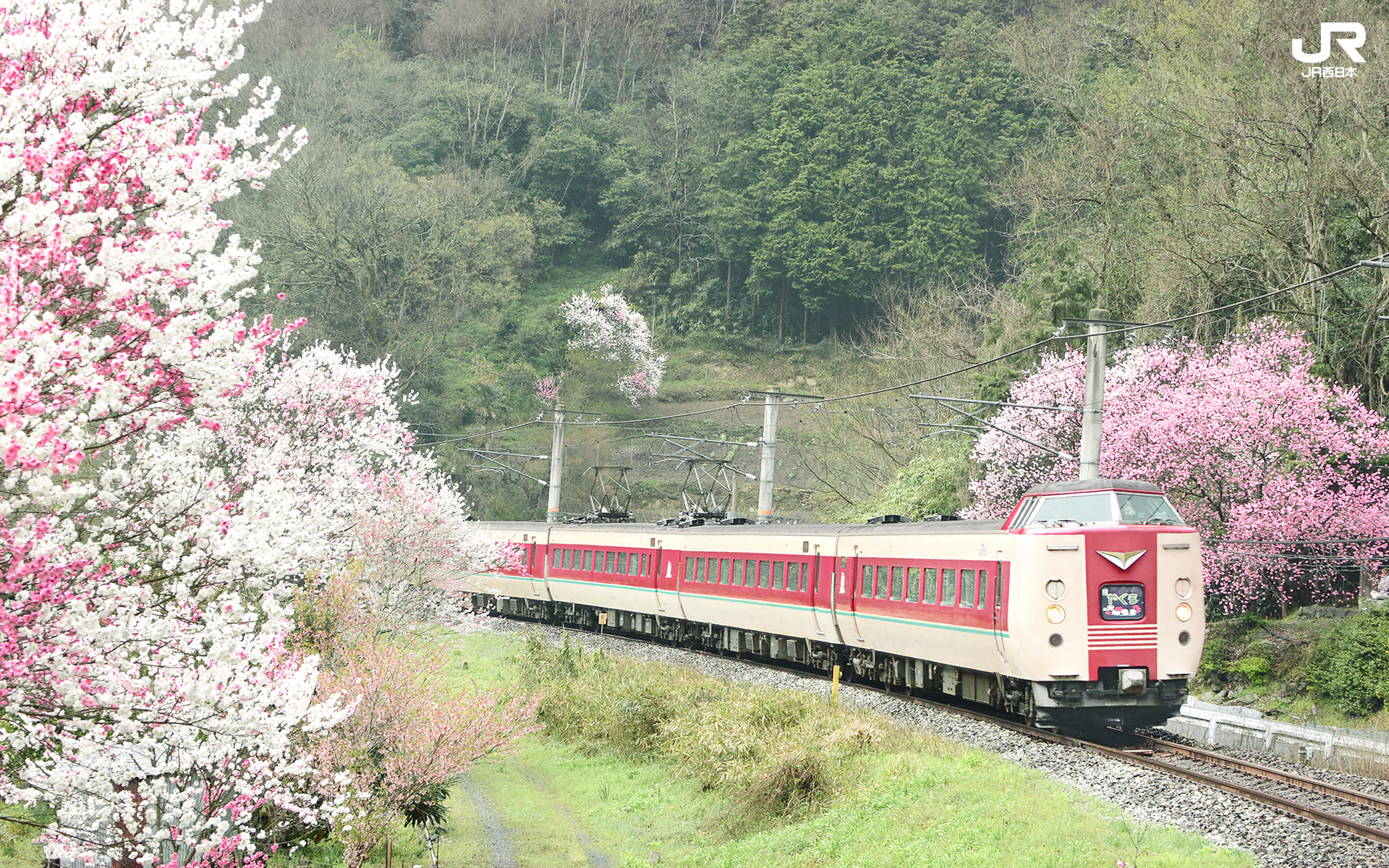壁紙 Jr西日本