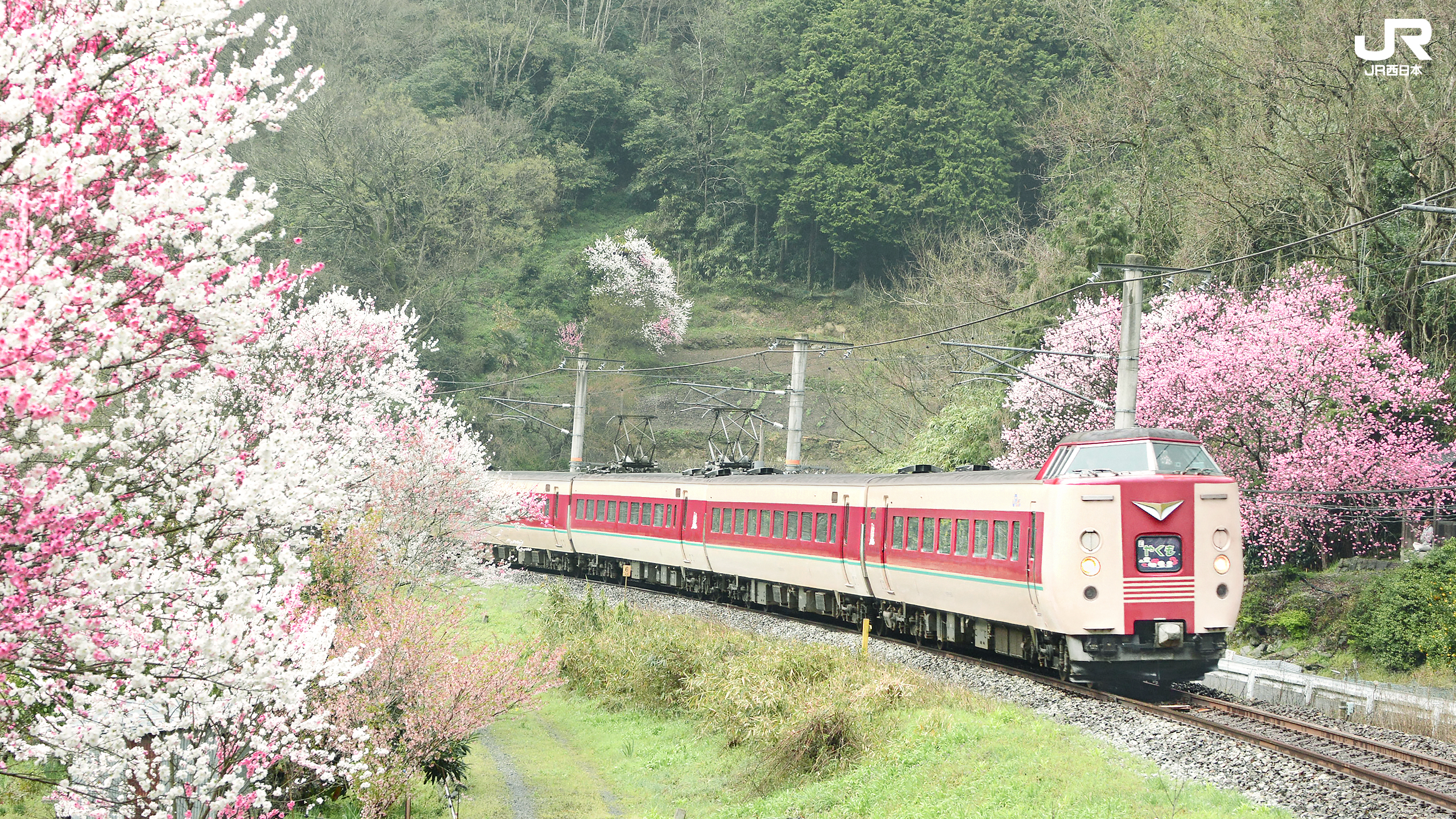 壁紙 Jr西日本