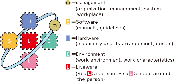 m=SHEL Model: m = Management (Organization, administration, system, workplace), S = Software (Manuals, instructions), H = Hardware (Equipment and equipment arrangement, design, etc.), E = Environment (Work environment, characteristics), L = Liveware (individuals and those in the periphery)