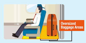 Tokaido-Sanyo-Kyushu-Nishi Kyushu Shinkansen Seats with oversized baggage areas
