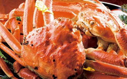 Echizen Gani Crab