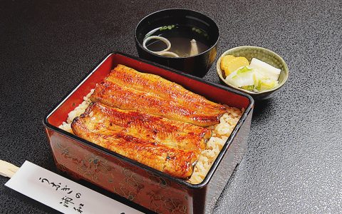 Grilled Eel