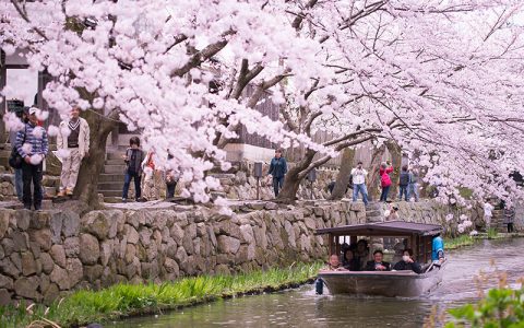 Hachiman-bori Moat & Omi Hachiman Water Villages