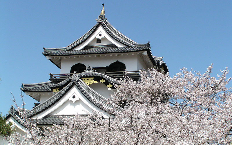 Hikone Castle