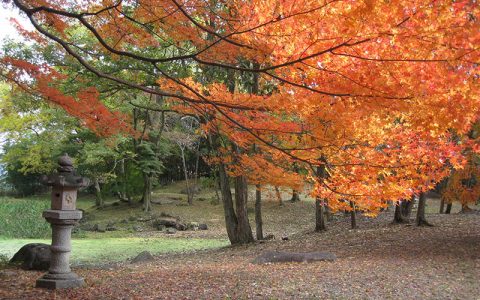 Former Hikone Domain Matsubara Suburban Residence Gardens (Ohama Goten)