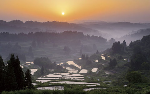 HOSHI-TOGE (RICE TERRACE)