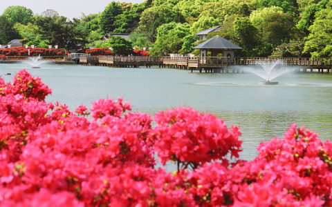 Nagaoka-Tenmangu Shrine