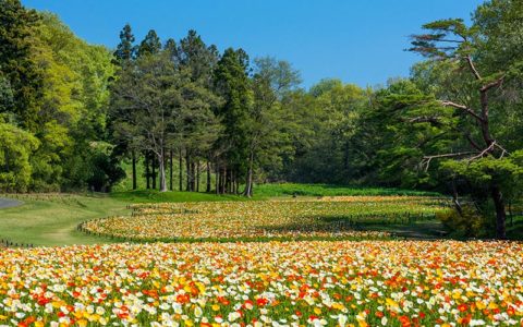 Musashi-Kyuryo National Government Park