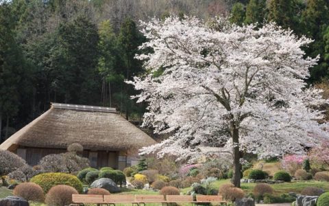 Roadside Station Washi-no-Sato Higashi-Chichibu