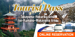 Tourist Pass