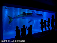 Notojima Aquarium