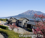 Kagoshima Area