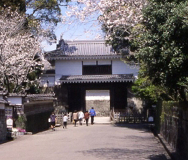 Miyazaki Area