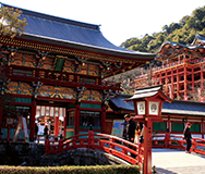 Saga Area