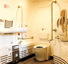 Multifunctional Toilet