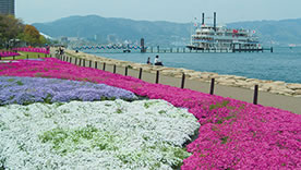 Lake Biwa