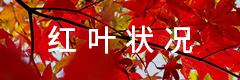 Autumn foliage information