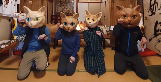 [挑戰玩日本#6]貓奴此生必去的貓寺院！超過600隻的貓都在這…
