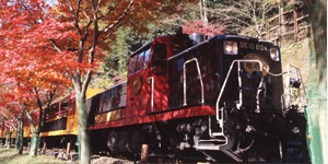 Sagano Romantic Train
