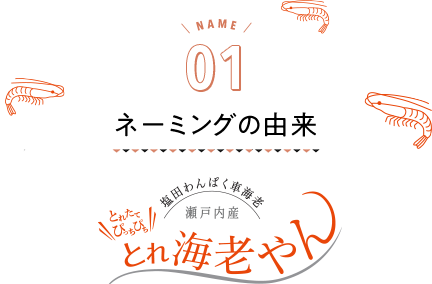 ネーミングの由来 塩田わんぱく車海老 瀬戸内産とれたてぴっちぴちとれ海老やん