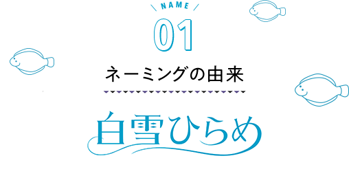 ネーミングの由来 鳥取生まれの箱入り娘　白雪ひらめ