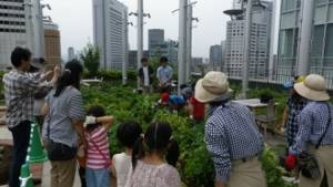 大阪ステーションシティの「緑とエコ」について学ぼう！