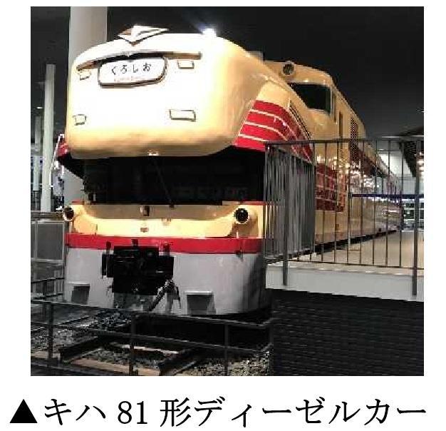 Ln81`fB[[J[